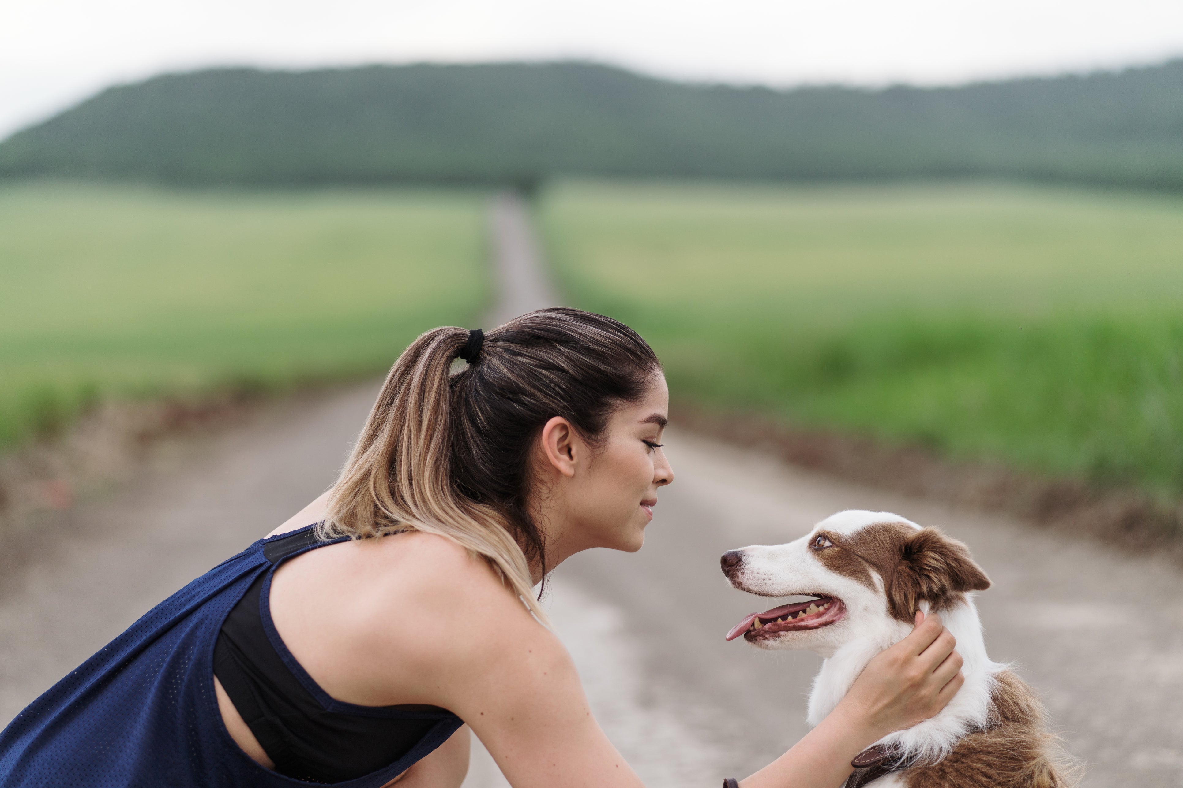 Guilt-Free Calorie Burn for Busy Women: The NEAT “Multitask Movement” Plan (Dog Walks, Chores & Errands That Count)